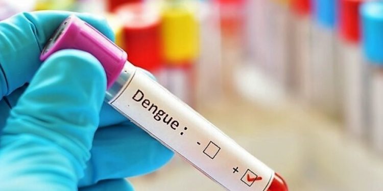 Aumentan casos de Dengue en Mérida