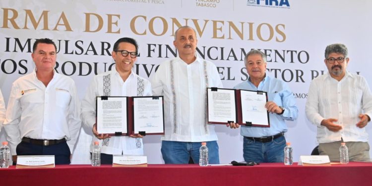 Otorgarán créditos para financiar la producción primaria y la agroindustria del sector agropecuario en Tabasco