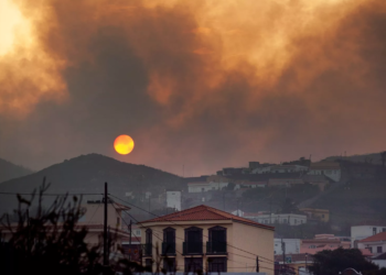 Incendio forestal provocó la evacuación de 3 mil personas de la Isla española Tenerife