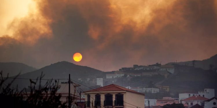 Incendio forestal provocó la evacuación de 3 mil personas de la Isla española Tenerife