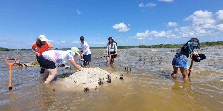 La Fundación de Parques y Museos contribuye a la formación de futuros profesionistas  