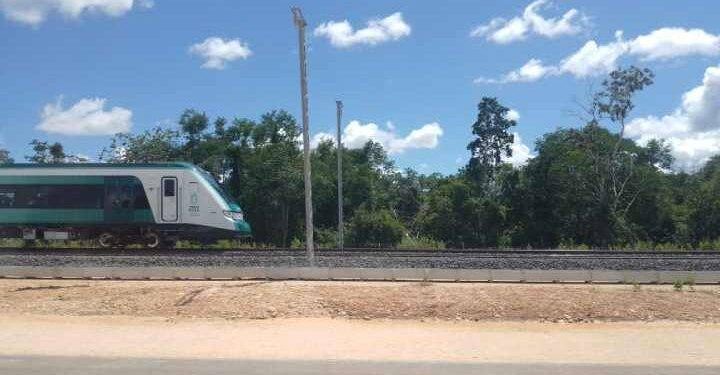 Inician pruebas locomotoras del Tren Maya en el tramo de Valladolid, Yucatán