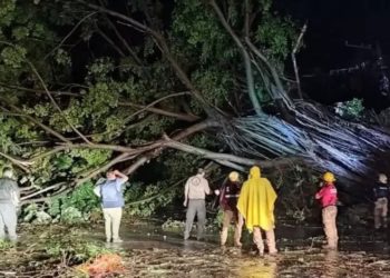 Huracán Lidia deja afectaciones y al menos un muerto en Nayarit