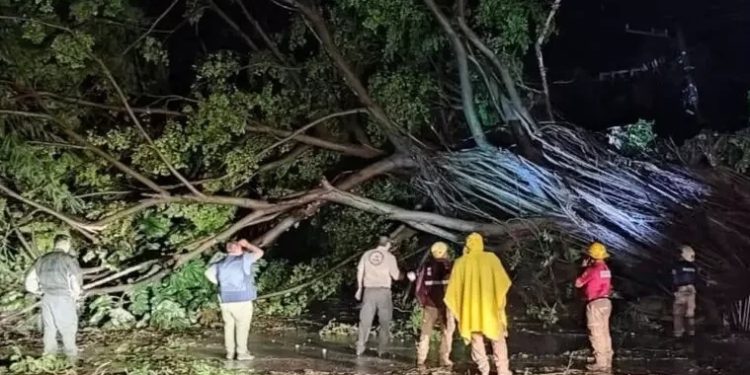 Huracán Lidia deja afectaciones y al menos un muerto en Nayarit