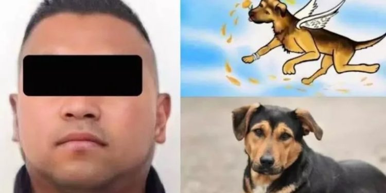 Sergio «N», asesino de ‘Scooby’ podría quedar en libertad si paga fianza