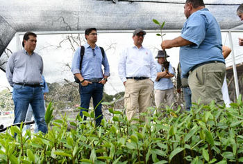 El rector de la UJAT y directivos de SLB y Repsol México siembran mangle rojo en el Río San Pedro