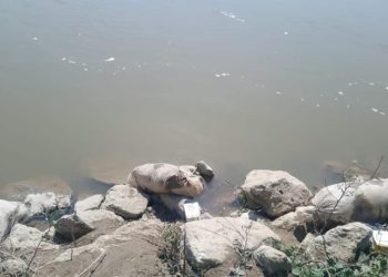 Hallan tres descuartizados en costales en Nacajuca