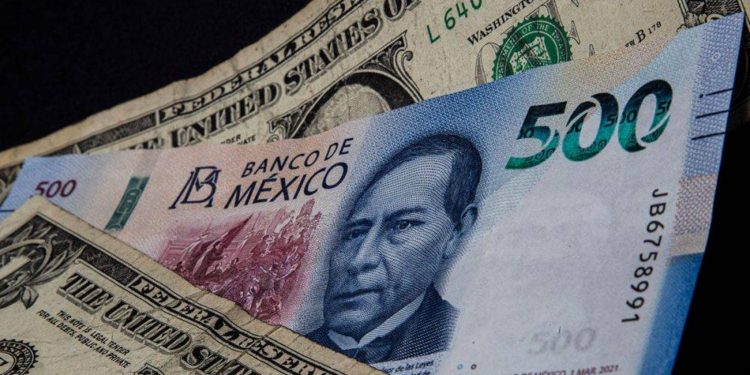 Peso ‘revive’ frente al dólar en el Día de los Muertos; arranca a 17.60 por dólar