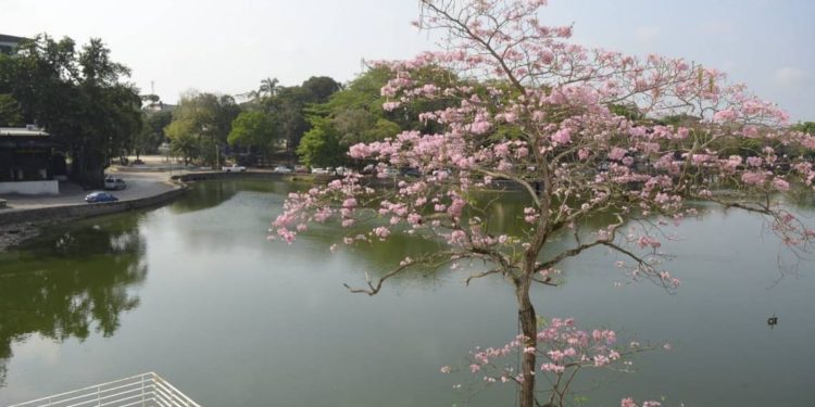 Regresará el calorcito a tierras tabasqueñas, se descartan lluvias en la entidad