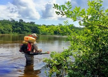 La participación social clave para combatir enfermedades transmitidas por vector: SESA