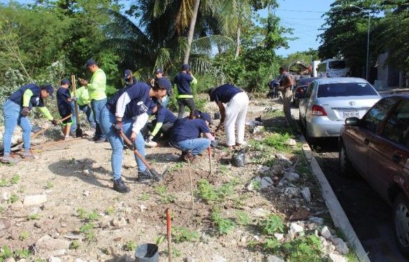 IBANQROO conmemora el “Día Internacional de los Voluntarios” en Laguna Manatí
