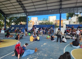 IBANQROO colabora en campaña anual de esterilización gratuita para perros y gatos en Solidaridad