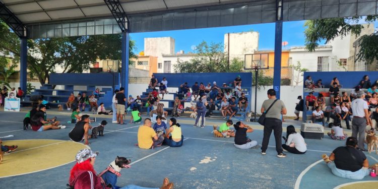 IBANQROO colabora en campaña anual de esterilización gratuita para perros y gatos en Solidaridad