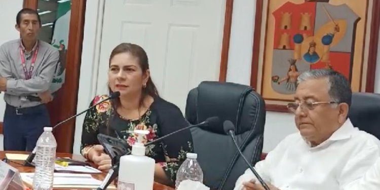 Precandidatos únicos pueden hacer proselitismo a militantes pero sin pedir el voto