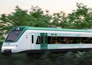 Encuentran deficiencias en la implementación de los programas de manejo de flora y fauna en Tren Maya