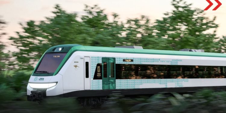 Encuentran deficiencias en la implementación de los programas de manejo de flora y fauna en Tren Maya