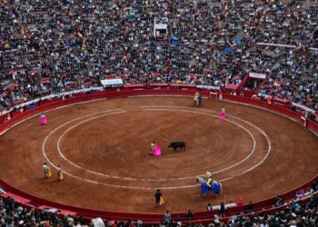 SCJN resolvió levantar la suspensión contra las corridas de toros en la CDMX