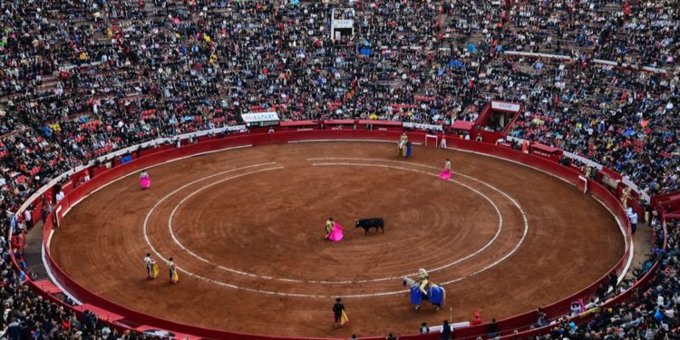 SCJN resolvió levantar la suspensión contra las corridas de toros en la CDMX