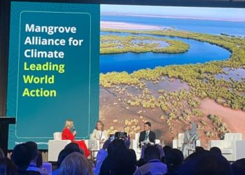 Quintana Roo se suma a la Alianza Global de Manglares