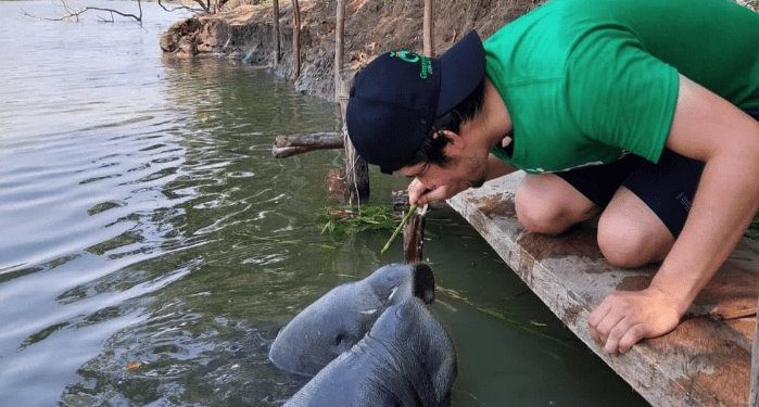 Planes para declarar zona de Jonuta como Área Natural Protegida en 2024, anuncia Bienestar