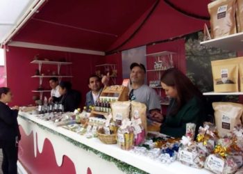 Participa Tabasco en Festival Turístico Navideño de la CDMX