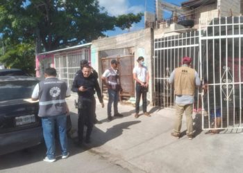 Rescata gobierno de BJ y PPA a dos caballos en malas condiciones