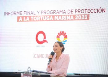Autoridades celebran el éxito en la conservación de las tortugas marinas