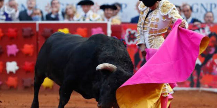 Regresa la Fiesta Brava’ a la Plaza México después de dos años de prohibición