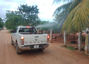 Aumentan los casos de dengue en Cancún