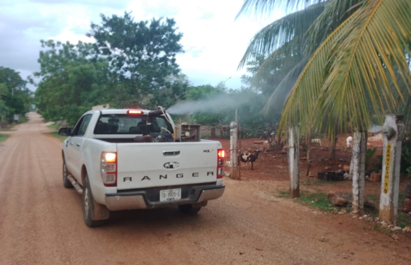 Aumentan los casos de dengue en Cancún