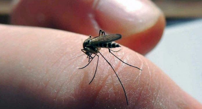 Dengue en Tabasco: 2023 registra segundo mayor índice de mortalidad desde 2018