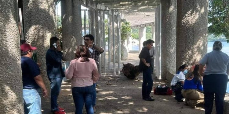Villahermosa azotada por fuertes vientos: Una mujer resulta lesionada