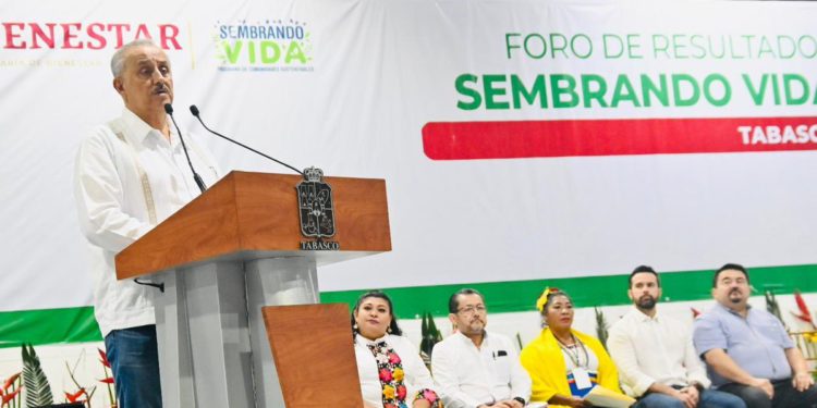 “Sembrando Vida” ayudó a rescatar 135 mil hectáreas en Tabasco: Carlos Merino