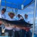 Convocan a 3er Torneo Internacional de Pesca Deportiva en el pueblo mágico de Frontera