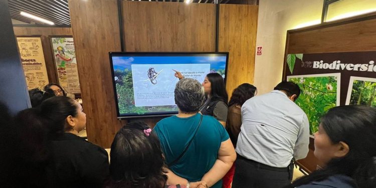 Prestadores de Servicios Turísticos recorren “Cacha Cacao” de la UJAT