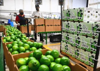 Mantienen inversionistas confianza en Tabasco: Sedec