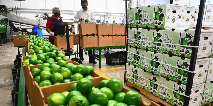 Mantienen inversionistas confianza en Tabasco: Sedec