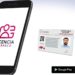 Se convierte App Licencias Tabasco en exitosa plataforma para tramitar licencias