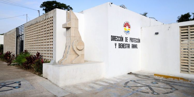 Sostiene gobierno de BJ su compromiso con el bienestar animal