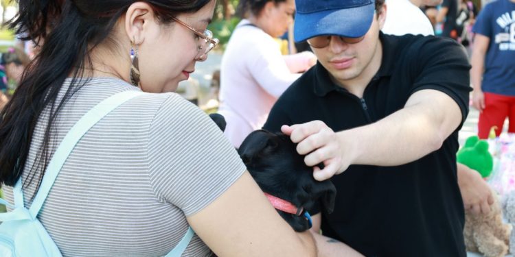 Fomenta gobierno de BJ cuidado responsable de los animales