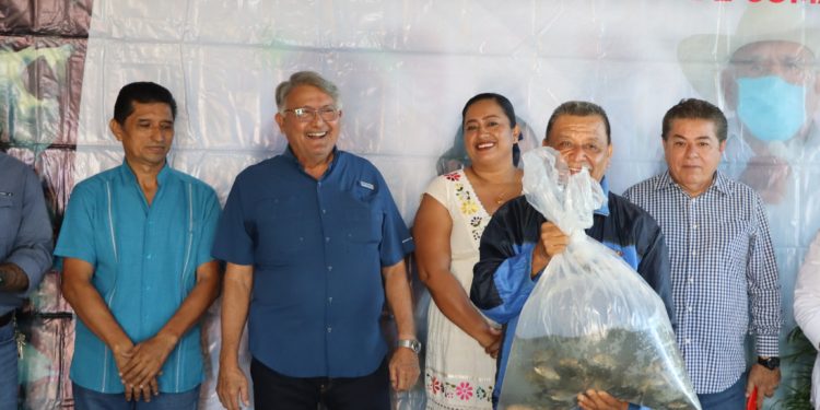 Gobierno de Comalcalco entrega crías de mojarra tilapia para productores acuícolas del municipio