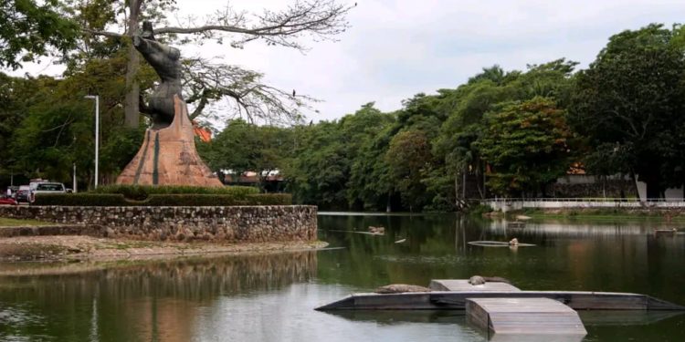 Impulsa Gobierno de Tabasco, cuidado y desarrollo de vida silvestre en Laguna de las Ilusiones