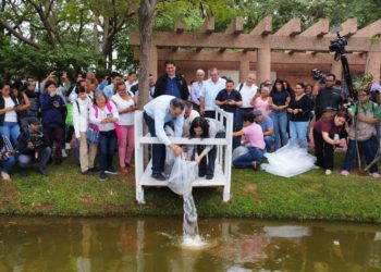 Enriquecen Centro y UJAT biodiversidad de Laguna La Pólvora con siembra de alevines
