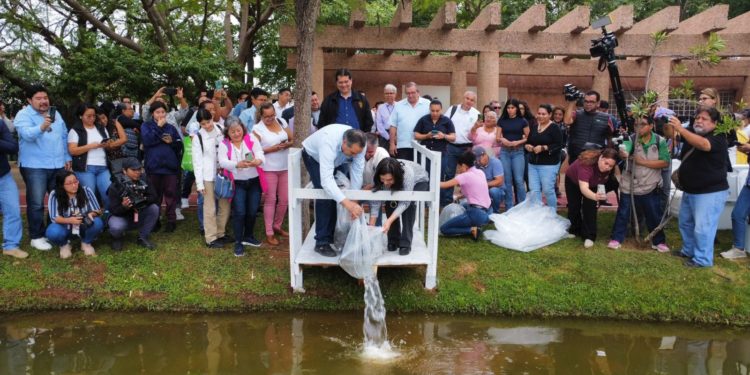Enriquecen Centro y UJAT biodiversidad de Laguna La Pólvora con siembra de alevines