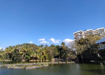 Se prevé día soleado con baja posibilidad de lluvias para este domingo