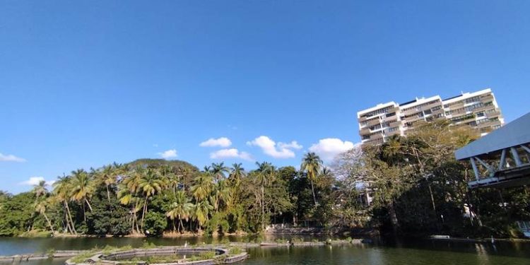 Se prevé día soleado con baja posibilidad de lluvias para este domingo