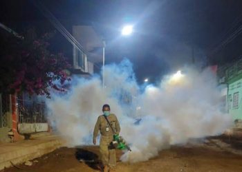 Tabasco acumula más de mil casos de dengue en 2024