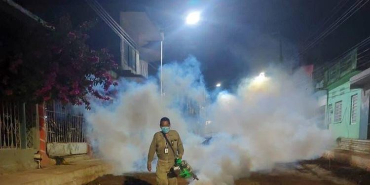 Tabasco acumula más de mil casos de dengue en 2024