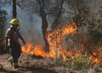 Protección Civil advierte sobre estiaje severo en Tabasco para el 2024