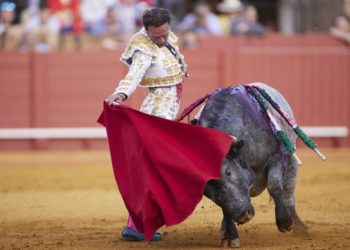 Jueza rechaza suspensión definitiva de las corridas de Toros en la CDMX